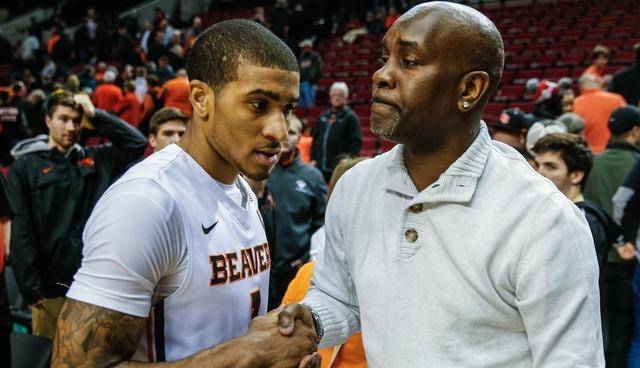 保持稳定的 保持稳定的